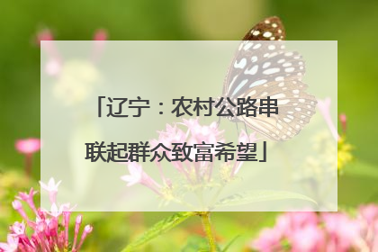 辽宁：农村公路串联起群众致富希望