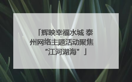 辉映幸福水城 泰州网络主题活动聚焦“江河湖海”