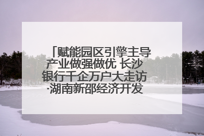 赋能园区引擎主导产业做强做优 长沙银行千企万户大走访·湖南新邵经济开发区专场活动举行