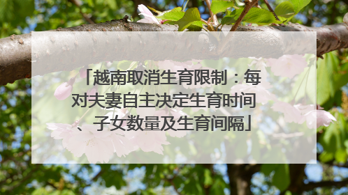 越南取消生育限制：每对夫妻自主决定生育时间、子女数量及生育间隔