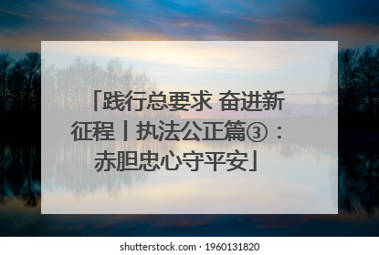 践行总要求 奋进新征程丨执法公正篇③：赤胆忠心守平安