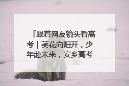 跟着网友镜头看高考｜葵花向阳开，少年赴未来，安乡高考首日的希望图景