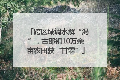 跨区域调水解“渴”，古邵镇10万余亩农田获“甘霖”