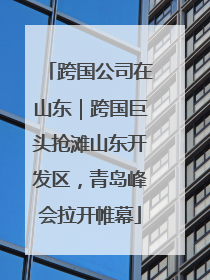 跨国公司在山东｜跨国巨头抢滩山东开发区，青岛峰会拉开帷幕