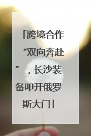 跨境合作“双向奔赴”，长沙装备叩开俄罗斯大门