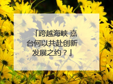 跨越海峡 嘉台何以共赴创新发展之约？