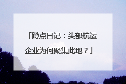 蹲点日记：头部航运企业为何聚集此地？