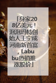 身家208亿美元！泡泡玛特创始人王宁成河南新首富，Labubu热销推涨股价