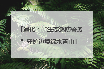 通化：“生态巡防警务”守护边境绿水青山