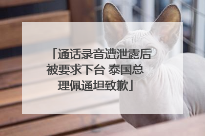 通话录音遭泄露后被要求下台 泰国总理佩通坦致歉