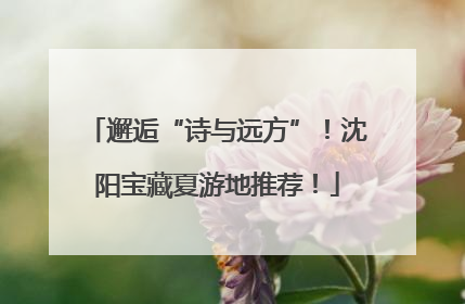 邂逅“诗与远方”！沈阳宝藏夏游地推荐！