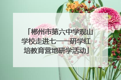 郴州市第六中学观山学校走进七一一研学红培教育营地研学活动