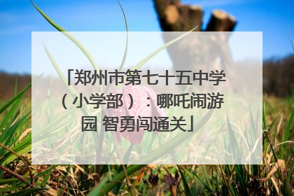 郑州市第七十五中学（小学部）：哪吒闹游园 智勇闯通关