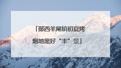 郧西羊尾镇初夏烤烟地里好“丰”景