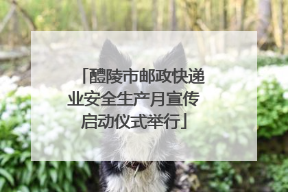 醴陵市邮政快递业安全生产月宣传启动仪式举行