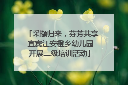 采撷归来，芬芳共享 宜宾江安橙乡幼儿园开展二级培训活动