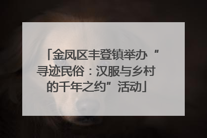 金凤区丰登镇举办“寻迹民俗：汉服与乡村的千年之约”活动