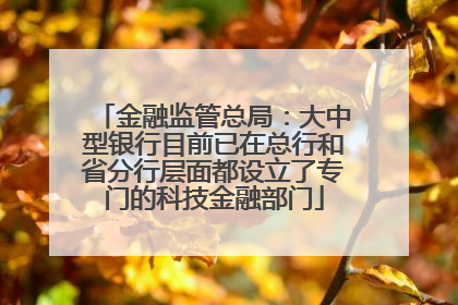 金融监管总局：大中型银行目前已在总行和省分行层面都设立了专门的科技金融部门
