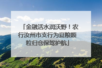 金融活水润沃野！农行汝州市支行为夏粮颗粒归仓保驾护航