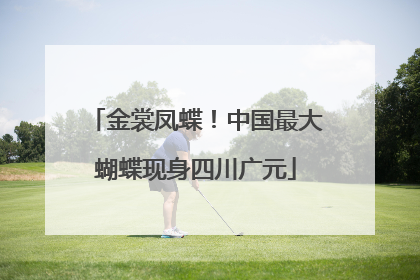 金裳凤蝶！中国最大蝴蝶现身四川广元