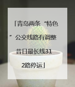 青岛两条“特色”公交线路有调整 昔日最长线312路停运