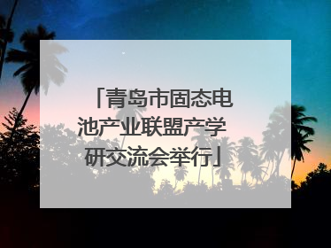 青岛市固态电池产业联盟产学研交流会举行