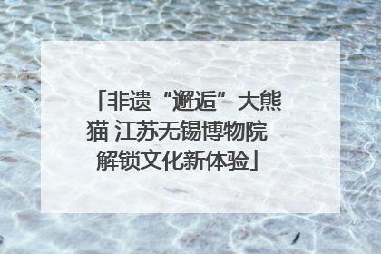 非遗“邂逅”大熊猫 江苏无锡博物院解锁文化新体验