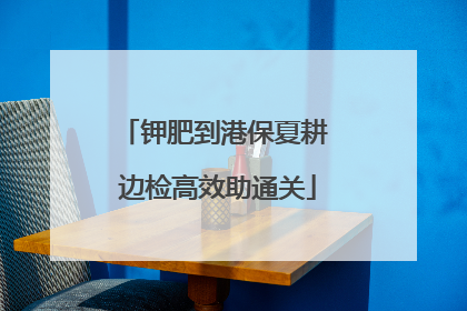 钾肥到港保夏耕 边检高效助通关