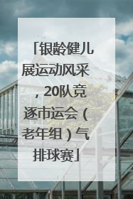 银龄健儿展运动风采，20队竞逐市运会（老年组）气排球赛