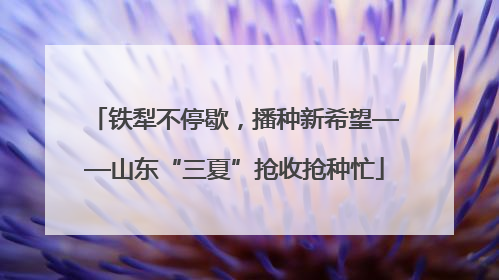 铁犁不停歇，播种新希望——山东“三夏”抢收抢种忙
