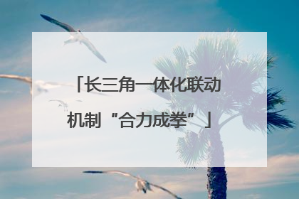 长三角一体化联动机制“合力成拳”