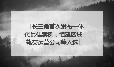 长三角首次发布一体化最佳案例，组建区域轨交运营公司等入选