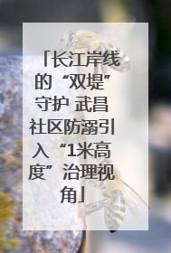 长江岸线的“双堤”守护 武昌社区防溺引入“1米高度”治理视角