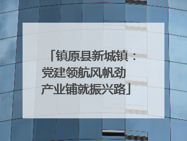 镇原县新城镇：党建领航风帆劲 产业铺就振兴路