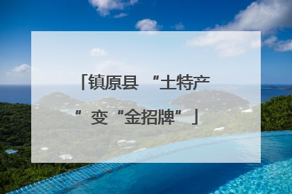 镇原县 “土特产”变“金招牌”