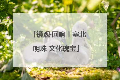 镜观·回响丨塞北明珠 文化瑰宝
