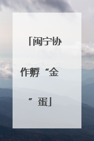 闽宁协作孵“金”蛋