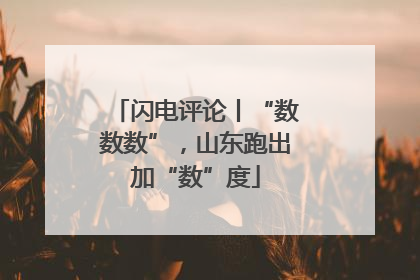 闪电评论丨“数数数”，山东跑出加“数”度