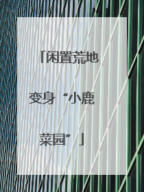 闲置荒地变身“小鹿菜园”
