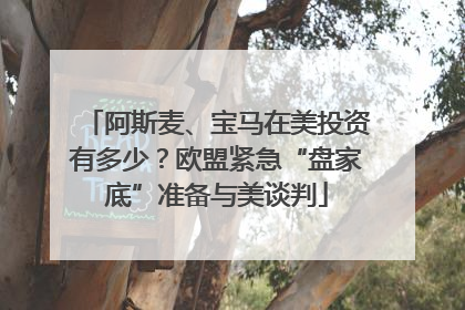 阿斯麦、宝马在美投资有多少？欧盟紧急“盘家底”准备与美谈判