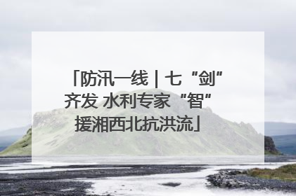 防汛一线｜七“剑”齐发 水利专家“智”援湘西北抗洪流