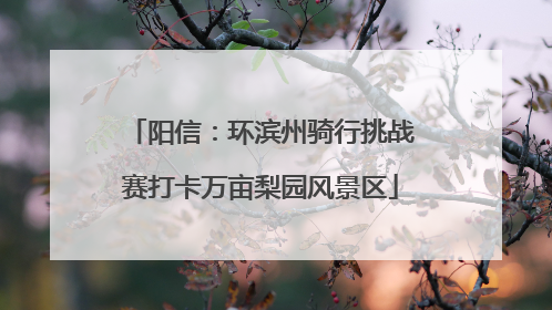 阳信：环滨州骑行挑战赛打卡万亩梨园风景区