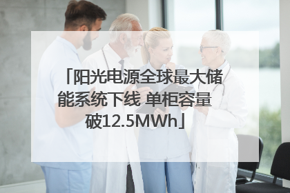 阳光电源全球最大储能系统下线 单柜容量破12.5MWh
