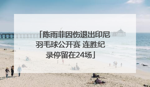 陈雨菲因伤退出印尼羽毛球公开赛 连胜纪录停留在24场