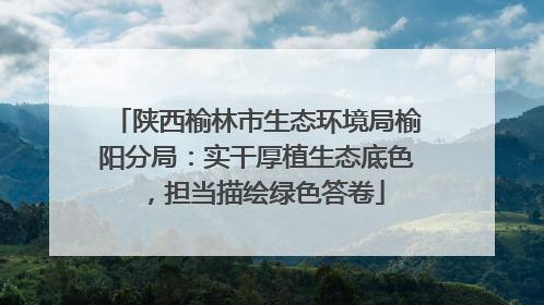 陕西榆林市生态环境局榆阳分局：实干厚植生态底色，担当描绘绿色答卷