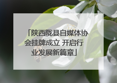 陕西陇县自媒体协会挂牌成立 开启行业发展新篇章