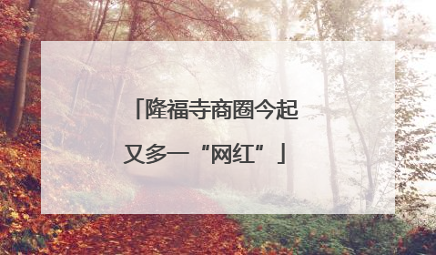 隆福寺商圈今起又多一“网红”