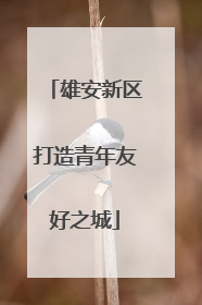 雄安新区打造青年友好之城