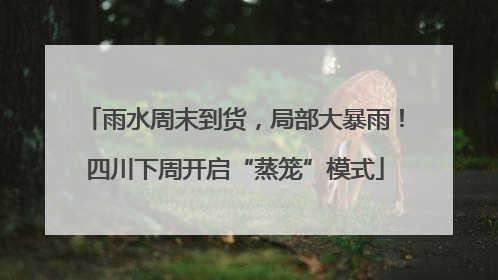 雨水周末到货，局部大暴雨！四川下周开启“蒸笼”模式