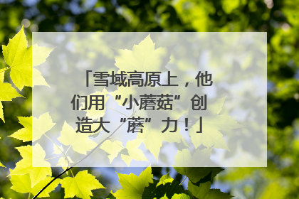 雪域高原上，他们用“小蘑菇”创造大“蘑”力！